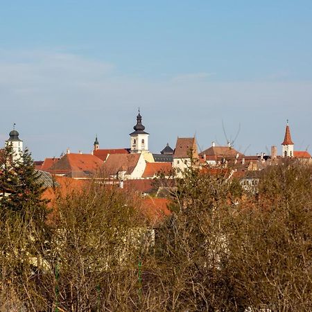 The Views Apartamento Sibiu Exterior foto